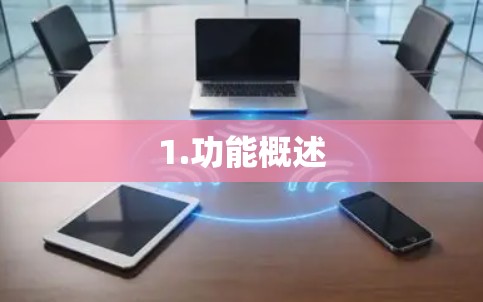 1.功能概述