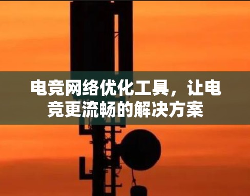电竞网络优化工具,让电竞更流畅的解决方案