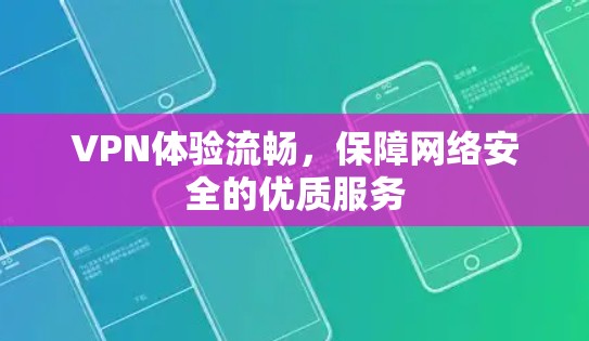 VPN体验流畅，保障网络安全的优质服务
