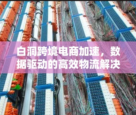 白洞跨境电商加速，数据驱动的高效物流解决方案