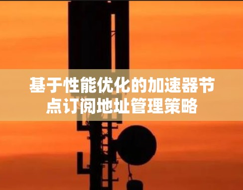 基于性能优化的加速器节点订阅地址管理策略