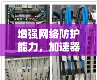 增强网络防护能力,加速器节点在线检测的重要性