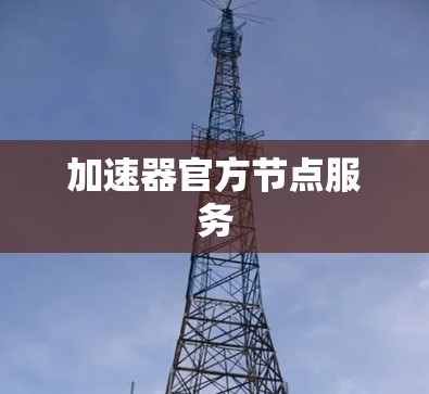 加速器官方节点服务