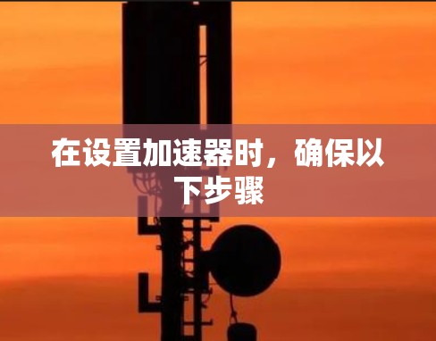在设置加速器时,确保以下步骤
