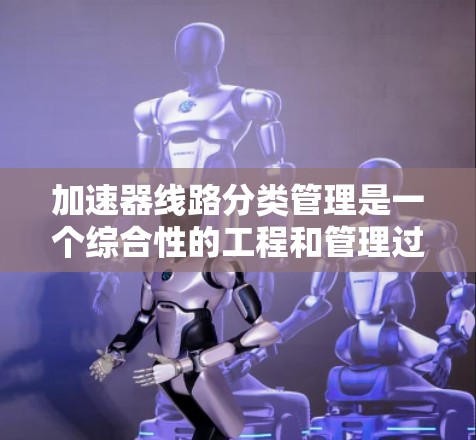 加速器线路分类管理是一个综合性的工程和管理过程,涉及多个环节,旨在优化设计、提高效率并降低成本。以下是该过程的详细分析和总结