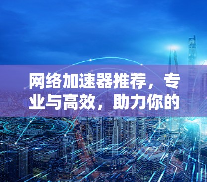 网络加速器推荐，专业与高效，助力你的网络之旅