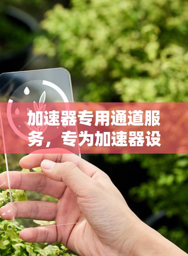 加速器专用通道服务,专为加速器设计的高效网络解决方案 加速器专用通道服务,专为加速器设计的高效网络解决方案