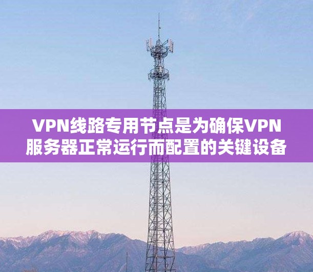 VPN线路专用节点是为确保VPN服务器正常运行而配置的关键设备。以下是其详细解释