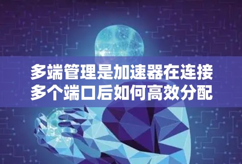 多端管理是加速器在连接多个端口后如何高效分配资源，以提升网络性能的技术。以下是多端管理的关键点