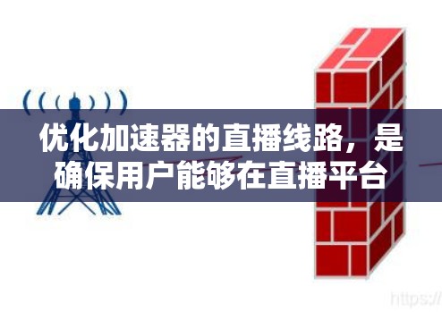 优化加速器的直播线路,是确保用户能够在直播平台中获得最佳体验的关键步骤。以下是一步步的优化建议