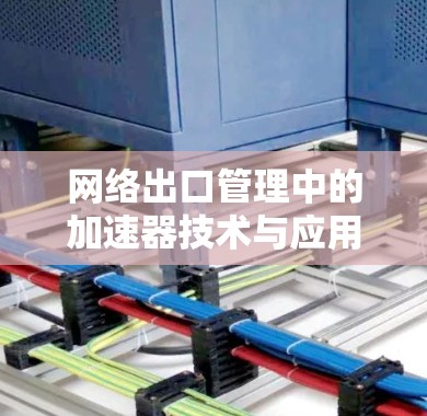 网络出口管理中的加速器技术与应用,技术突破与未来展望