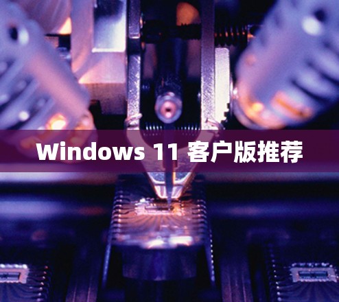 Windows 11 客户版推荐
