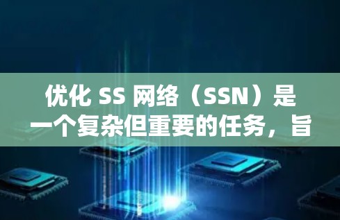 优化 SS 网络(SSN)是一个复杂但重要的任务,旨在提升系统的性能、安全性、可扩展性和响应速度。以下是一个系统的优化方案,涵盖了从架构设计到测试优化的多个阶段