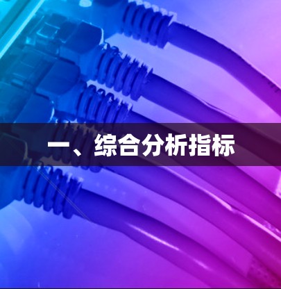 一、综合分析指标