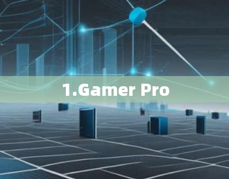 1.Gamer Pro
