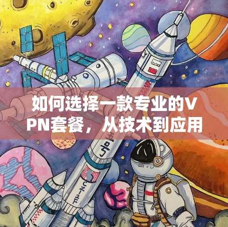 如何选择一款专业的VPN套餐,从技术到应用的全面解析