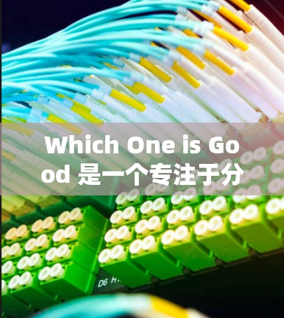 Which One is Good 是一个专注于分享和管理电竞相关游戏和比赛数据的直播平台,用户可以上传自己的游戏、比赛数据或代码。以下是对该工具的详细介绍