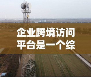 企业跨境访问平台是一个综合性的系统,旨在管理与国际合作伙伴、客户或客户关系相关的访问和数据访问。以下是该平台的详细分析