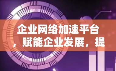 企业网络加速平台,赋能企业发展,提升效率与安全