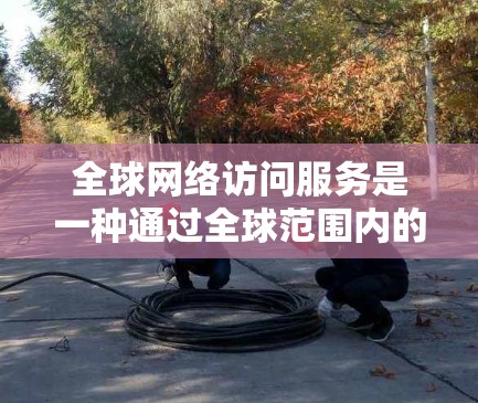 全球网络访问服务是一种通过全球范围内的网络连接,实现从外部访问计算机网络的技术。以下是该领域的详细分析