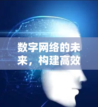 数字网络的未来,构建高效、安全的通信网络