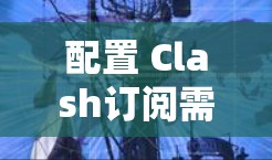 配置 Clash订阅需要按照步骤逐步进行,但可能需要更多的信息和指导,尤其是每个步骤的具体功能和可能的选项。以下是详细的建议 配置 Clash订阅需要按照步骤逐步进行,但可能需要更多的信息和指导,尤其是每个步骤的具体功能和可能的选项。以下是详细的建议