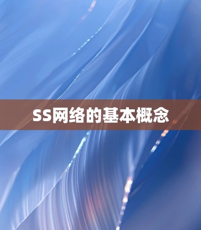 SS网络的基本概念 SS网络的基本概念