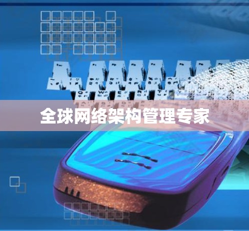 全球网络架构管理专家