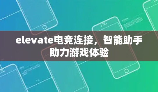 elevate电竞连接,智能助手助力游戏体验 elevate电竞连接,智能助手助力游戏体验
