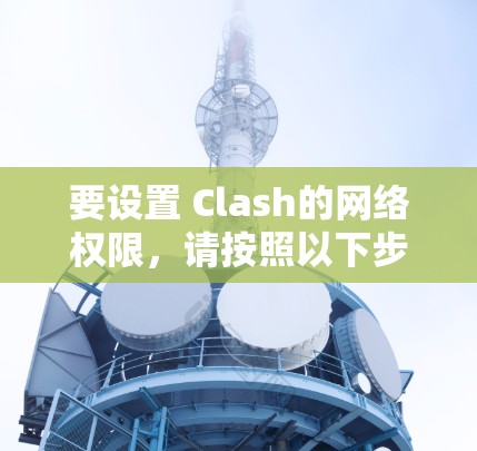 要设置 Clash的网络权限，请按照以下步骤操作