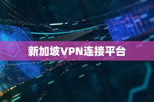 新加坡VPN连接平台