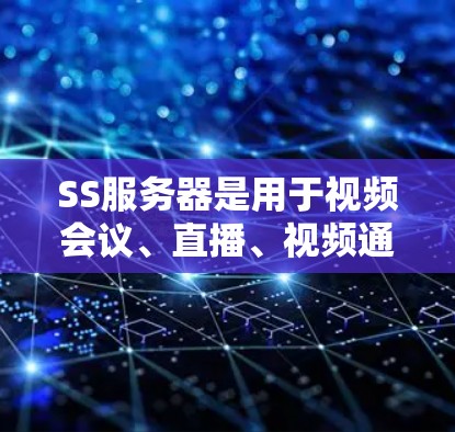 SS服务器是用于视频会议、直播、视频通话等场景的网络设备，主要负责视频和音频端点的连接和处理。以下是对SS服务器的详细分析