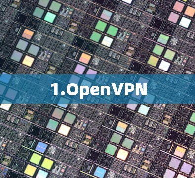 1.OpenVPN 1.OpenVPN