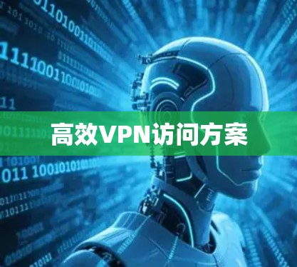 高效VPN访问方案