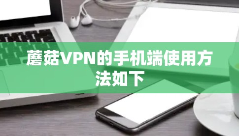 蘑菇VPN的手机端使用方法如下