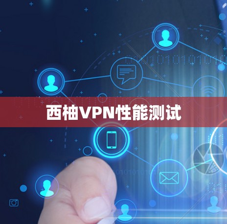 西柚VPN性能测试