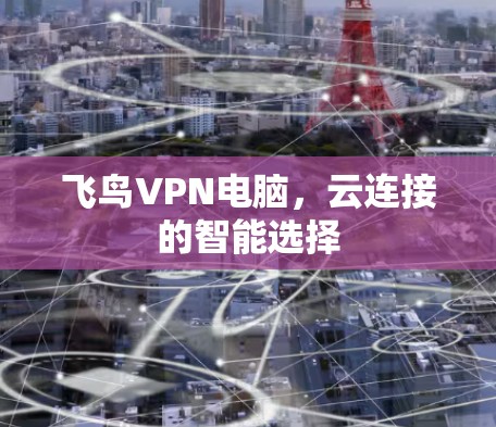 飞鸟VPN电脑,云连接的智能选择