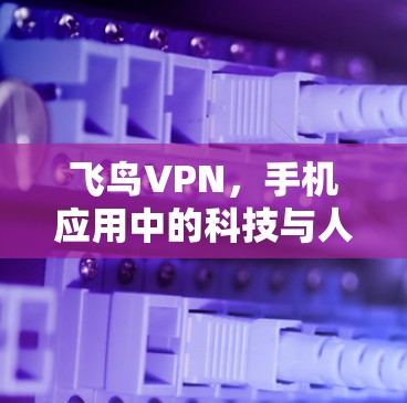 飞鸟VPN，手机应用中的科技与人机共生的探索