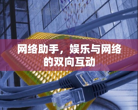 网络助手，娱乐与网络的双向互动