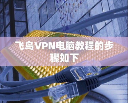 飞鸟VPN电脑教程的步骤如下