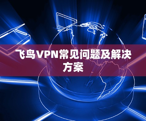 飞鸟VPN常见问题及解决方案