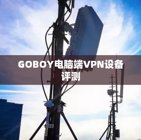 GOBOY电脑端VPN设备评测