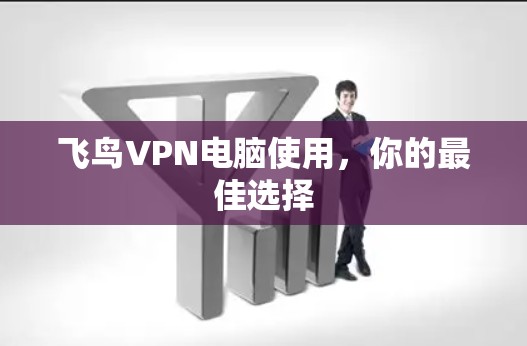飞鸟VPN电脑使用,你的最佳选择