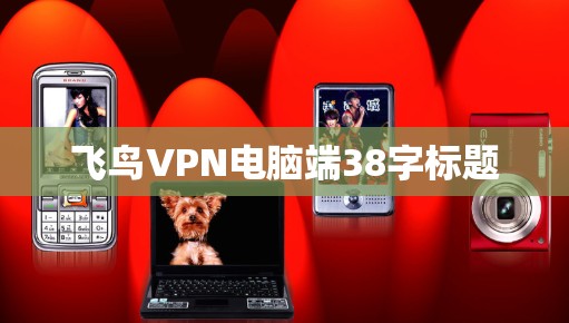 飞鸟VPN电脑端38字标题