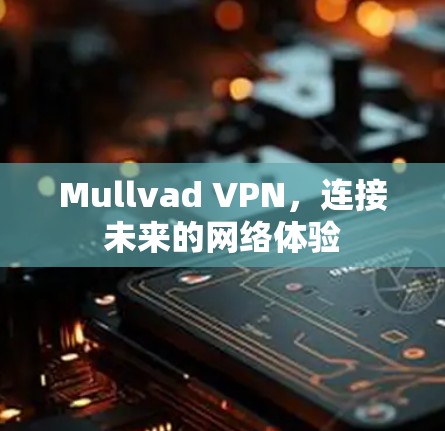 Mullvad VPN，连接未来的网络体验
