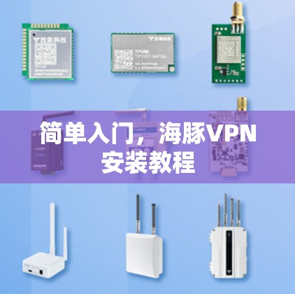 简单入门，海豚VPN安装教程