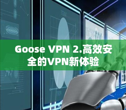 Goose VPN 2.高效安全的VPN新体验