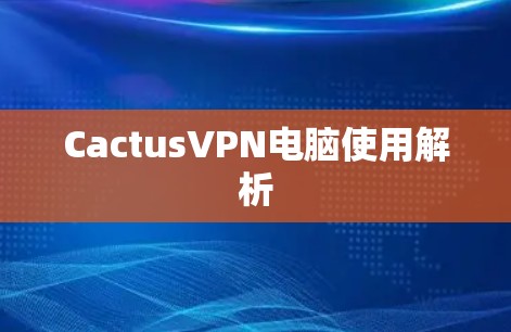CactusVPN电脑使用解析