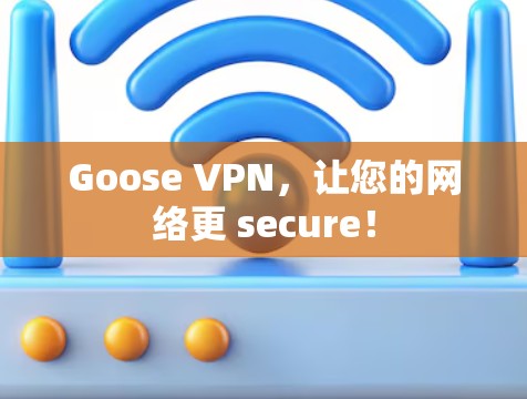 Goose VPN,让您的网络更 secure!