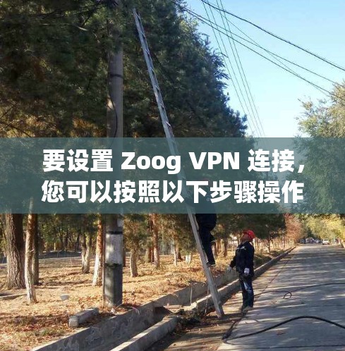 要设置 Zoog VPN 连接，您可以按照以下步骤操作